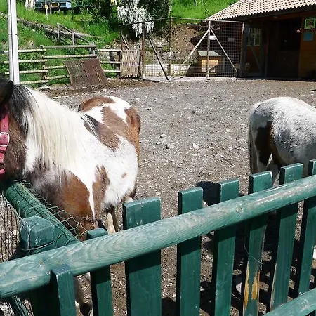 Alloggio per agriturismo Agriturismo Al Borg Paluzza